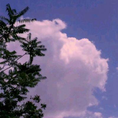 沧月游神手游(暂未上线)v1.1 安卓版